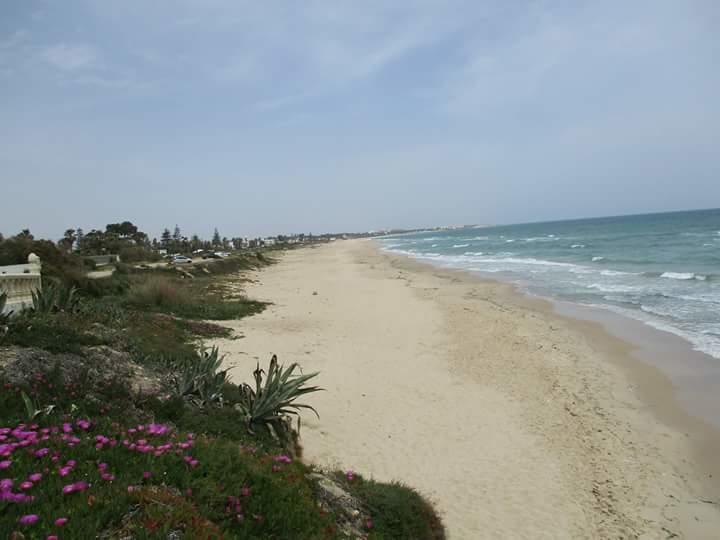 Le Lagon De Hammamet Apartment Exterior photo